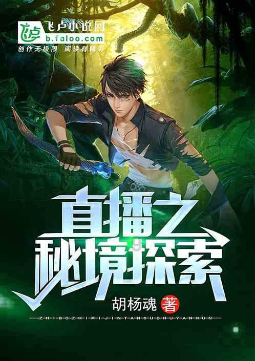 新高达破坏者