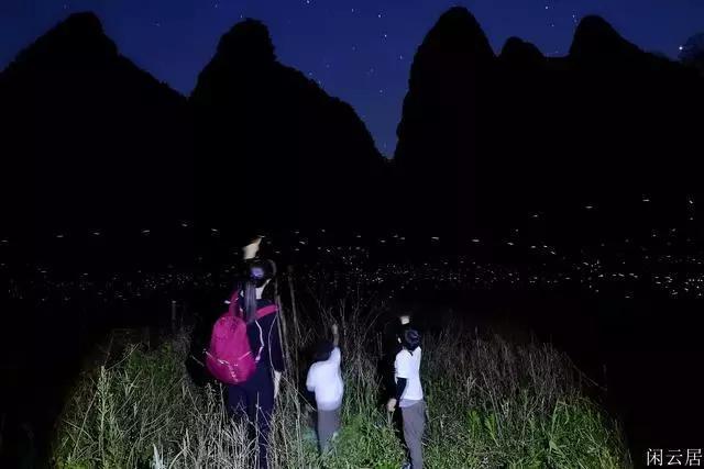 救援小袋熊