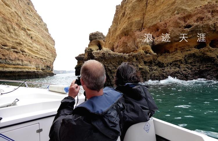 “南橘北莓”背后：“出圈”的特色鲜果兴业助农