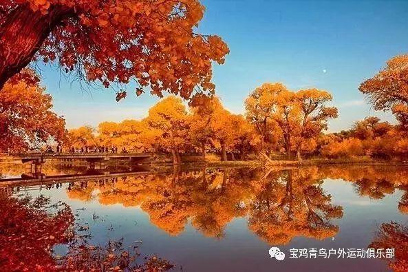 为何家长总是热衷于带孩子打卡名校？游戏画面