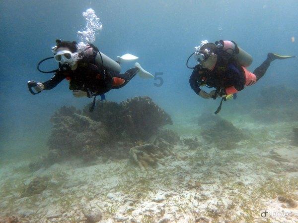 深圳硬件工程师培训费用多少