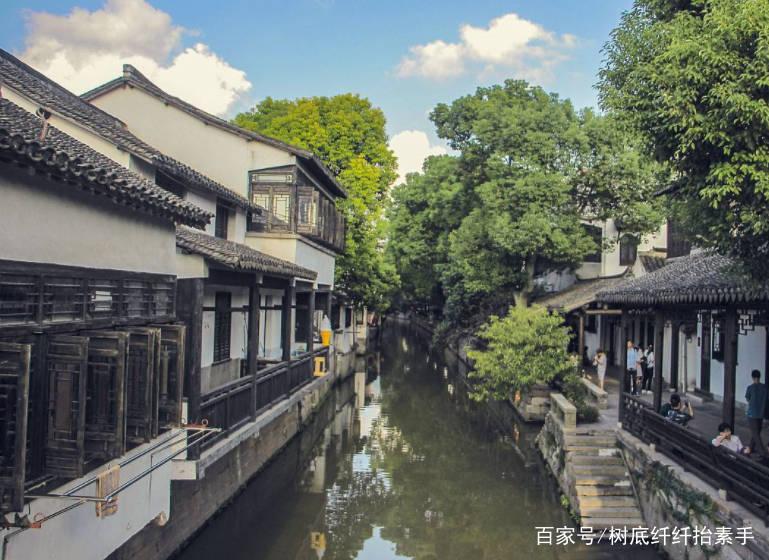 三叶互生，这种叫什么？