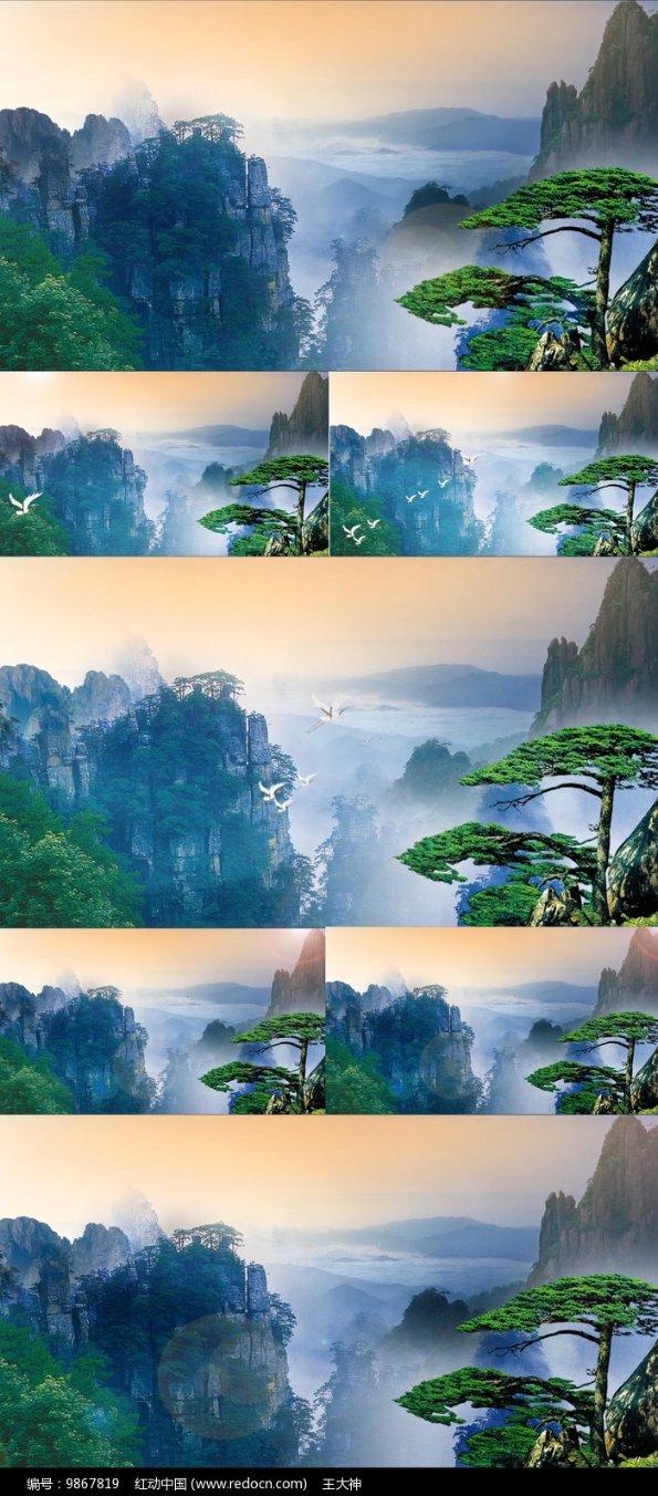 福原爱直播带货销量奇低!成交额不足2.5万,普通人还有机会吗?